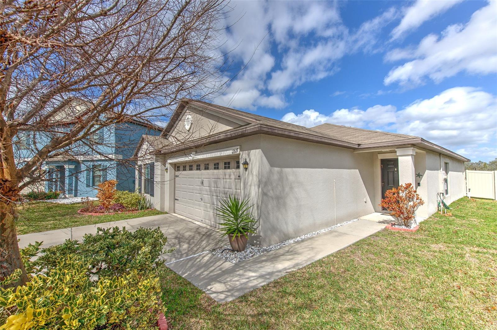 12619 Lemon Pepper Drive, FL