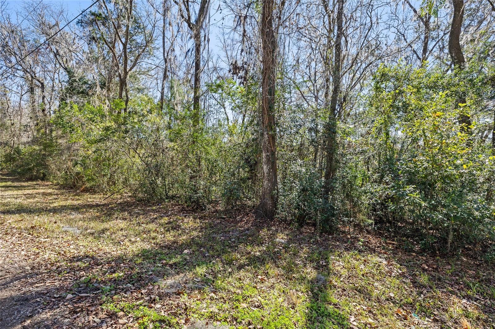 23126 Fitzhugh Avenue, FL