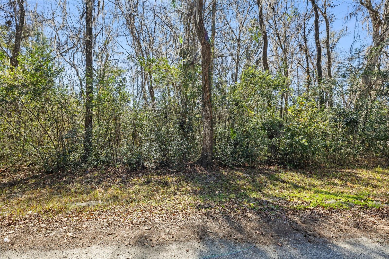 23126 Fitzhugh Avenue, FL