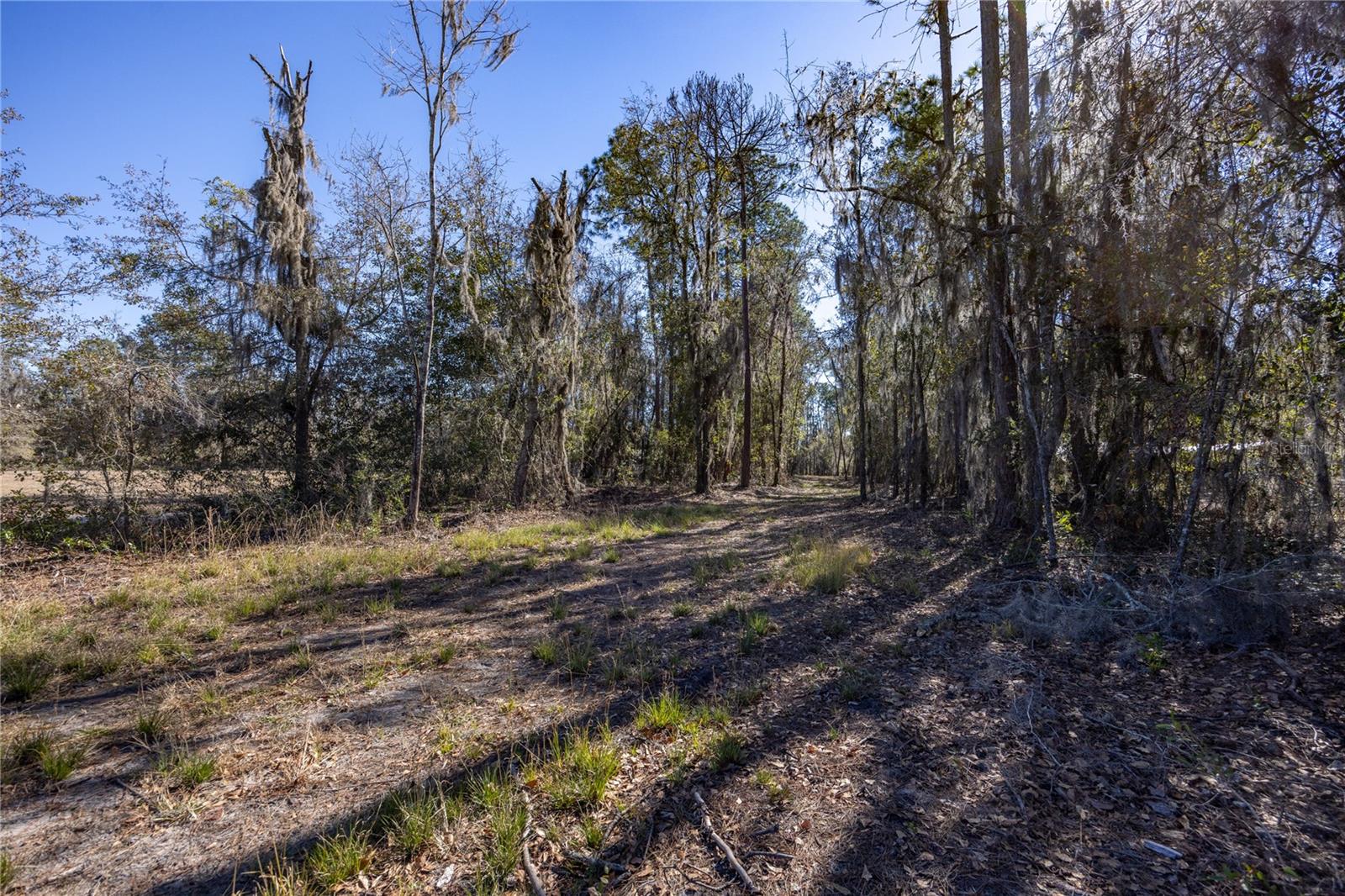 155th Way, FL