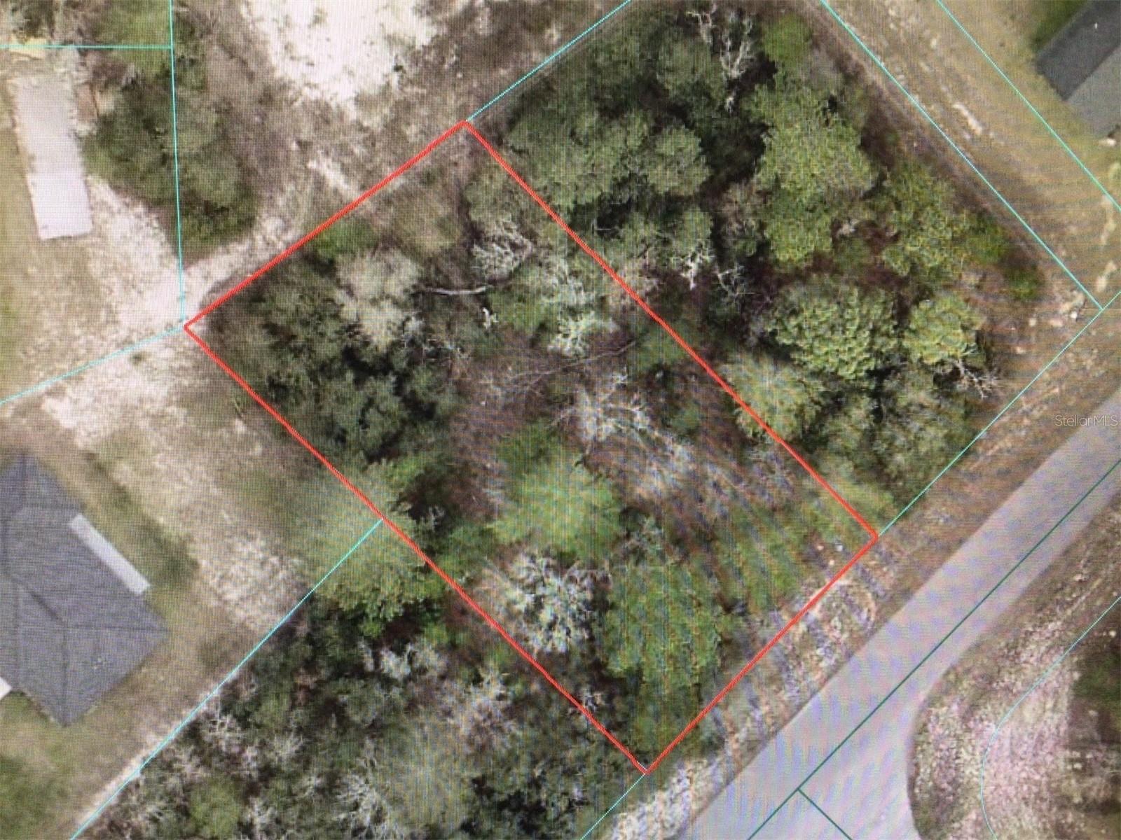 55 Avenue Road, FL