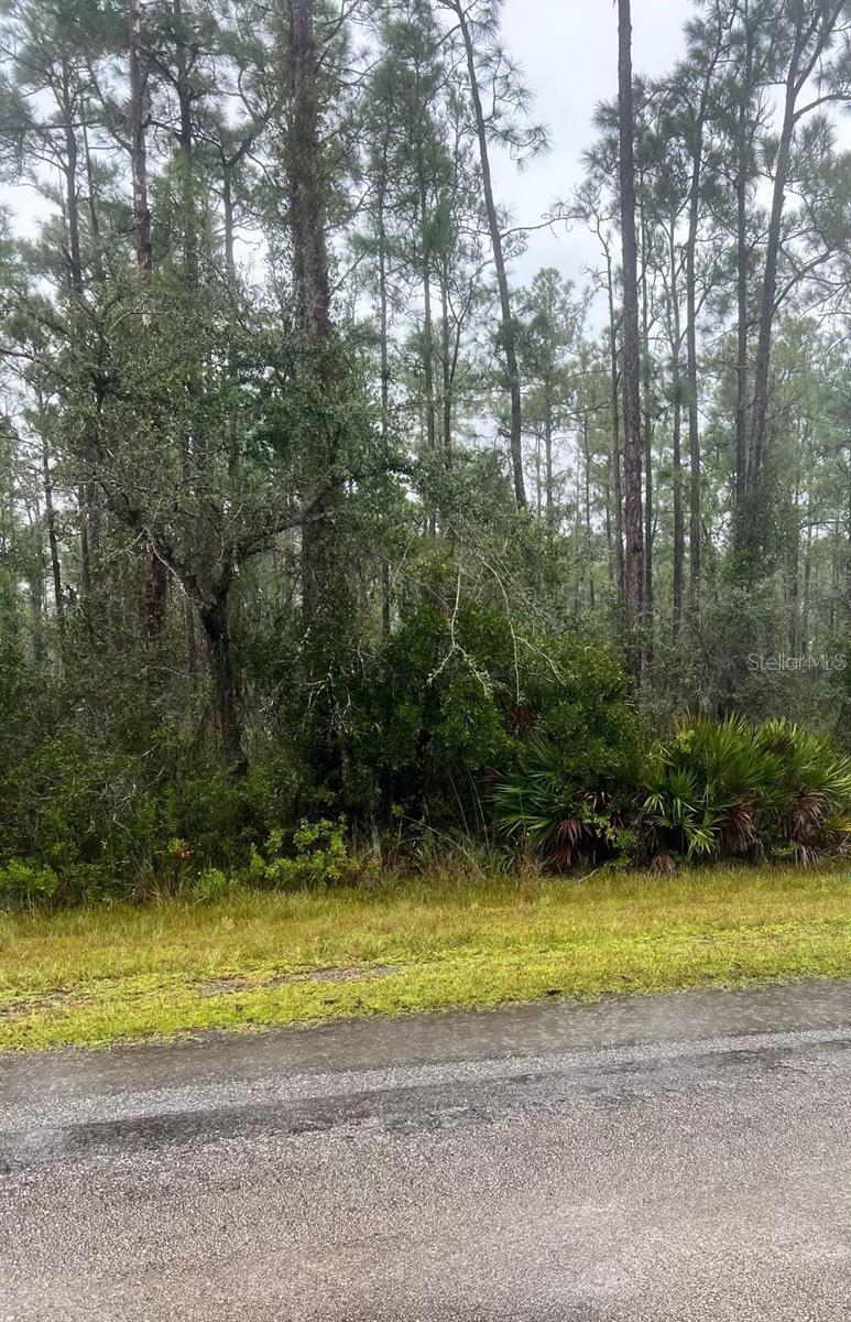 0 Gaillardia Drive, FL