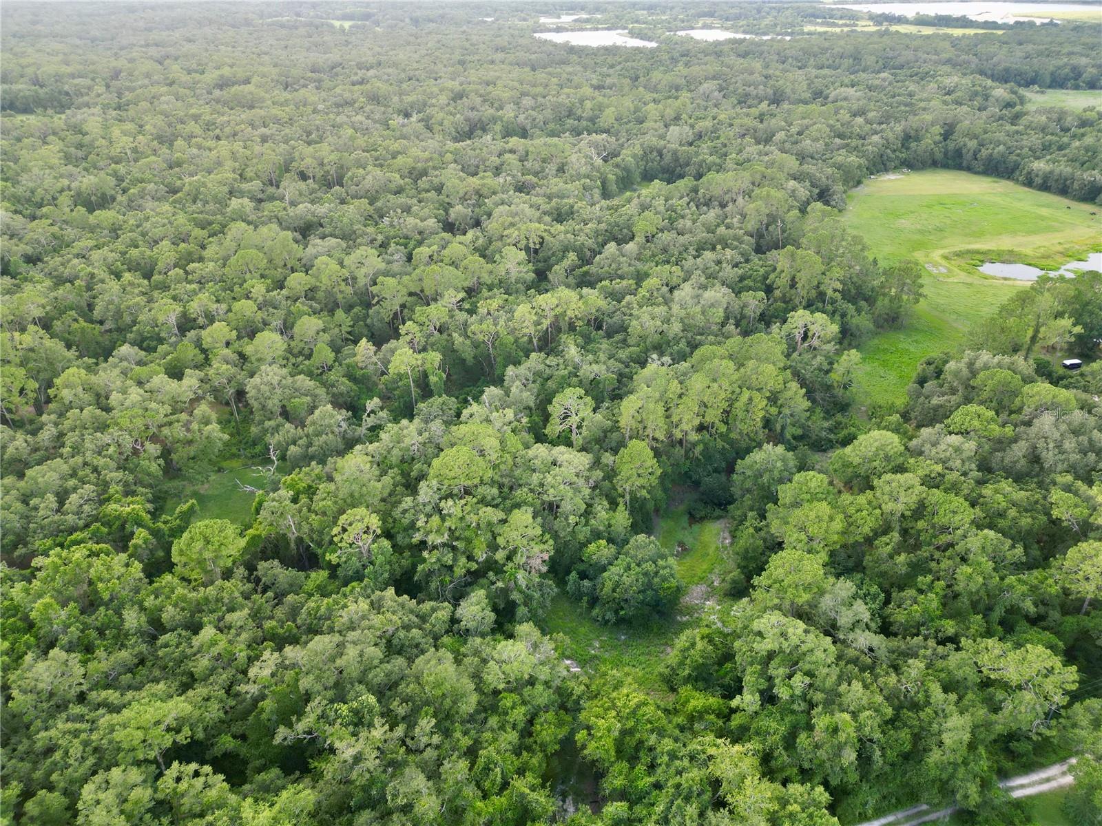 Tbd 31st Way Way, FL