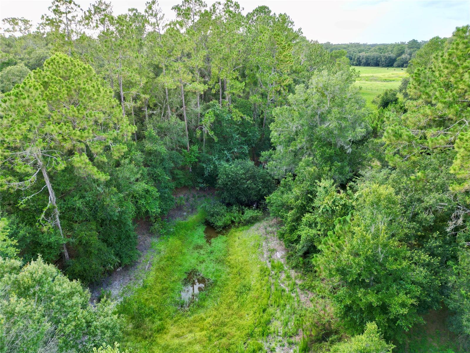 Tbd 31st Way Way, FL