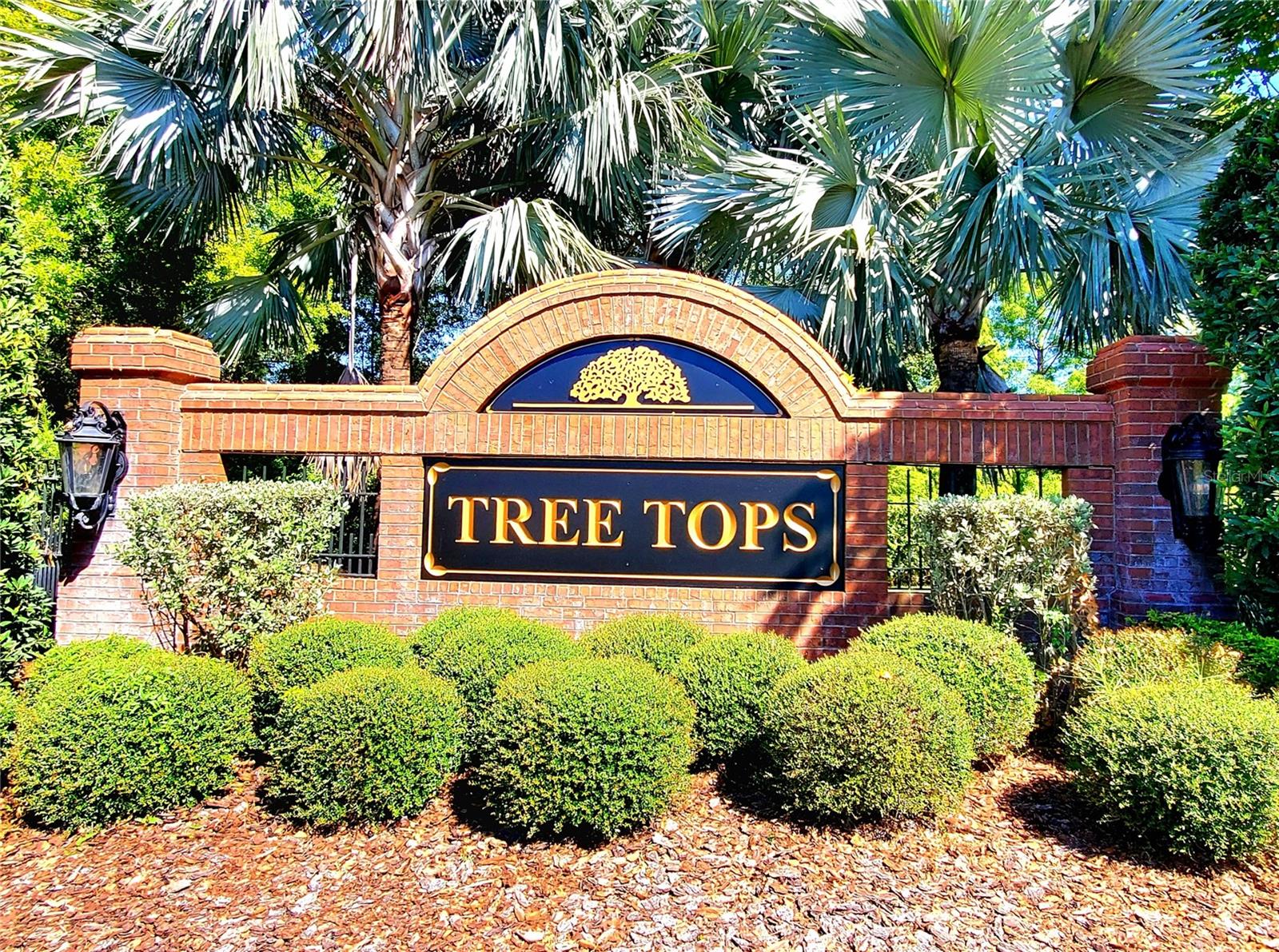 10004 Tree Tops Lake Road, FL