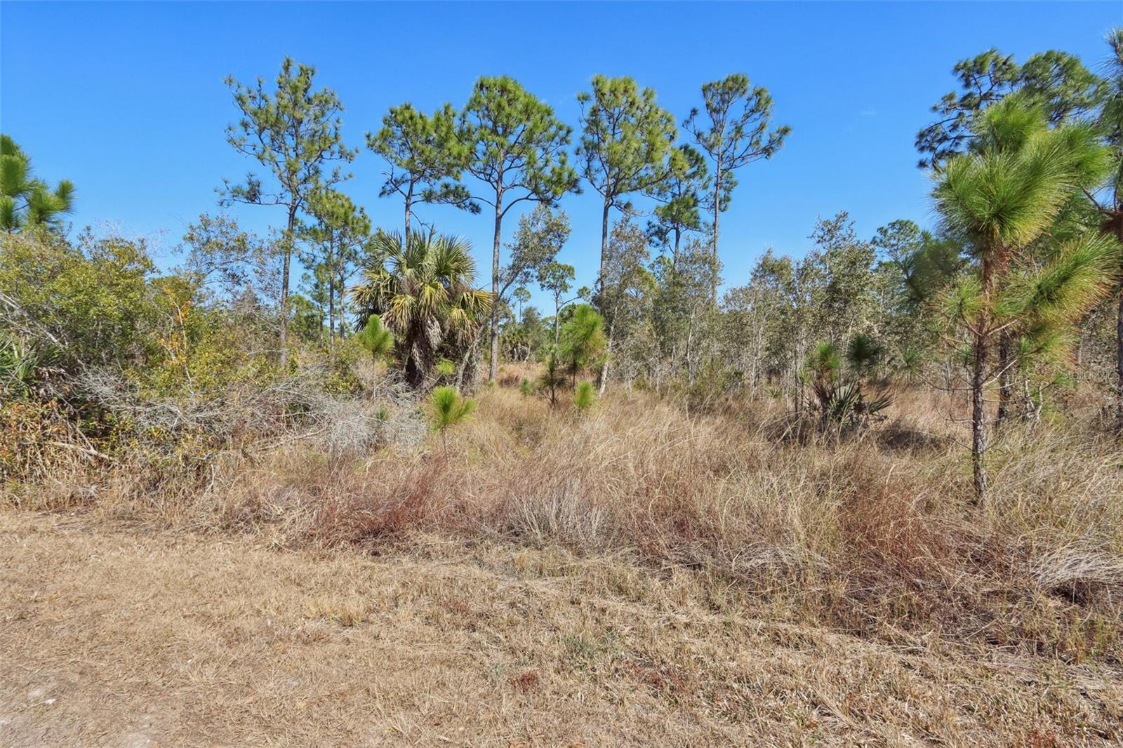 13588 Carousel Drive, FL