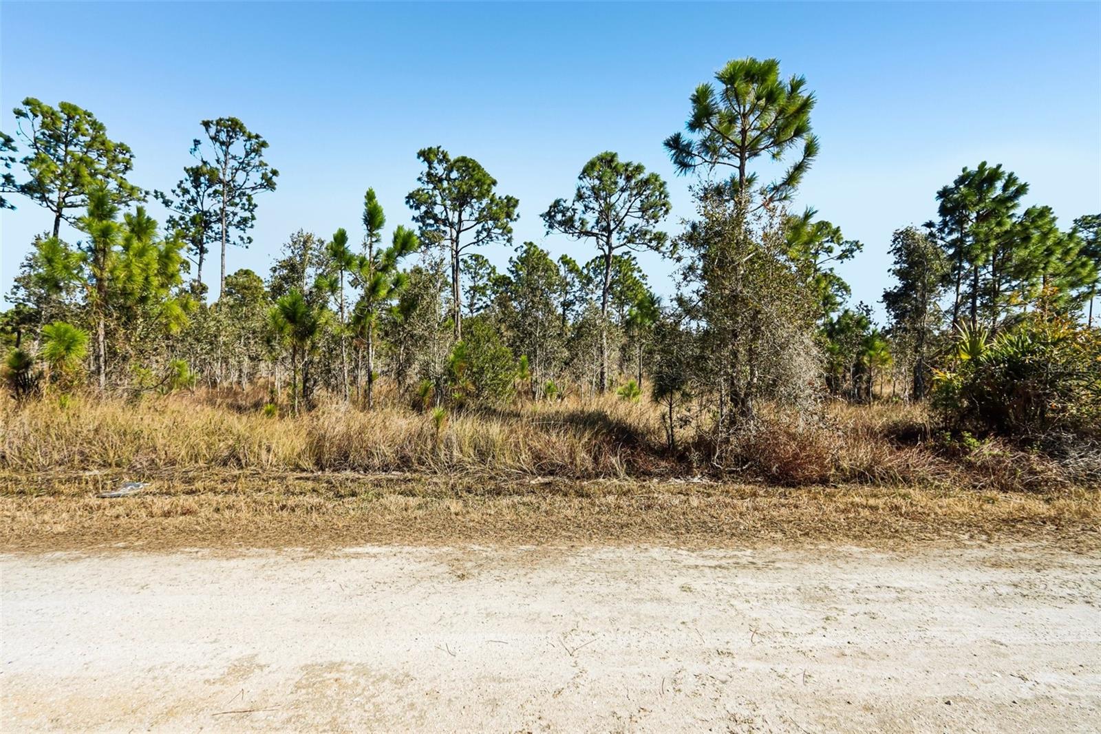 13592 Carousel Drive, FL