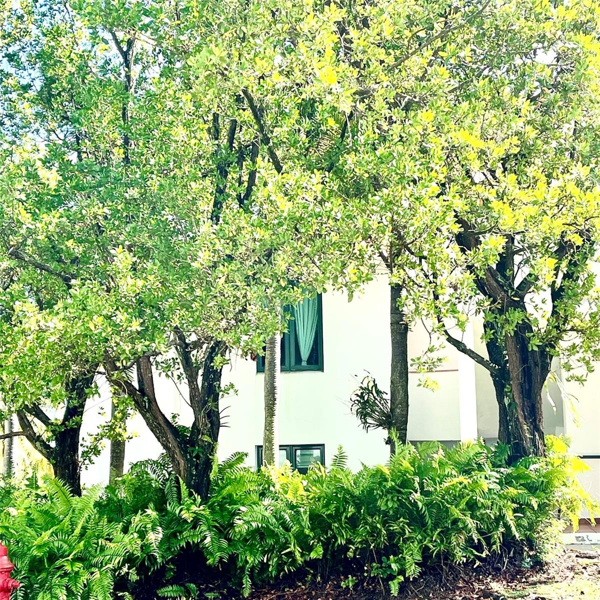 22-01 Cond. Rio Mar Village, PR