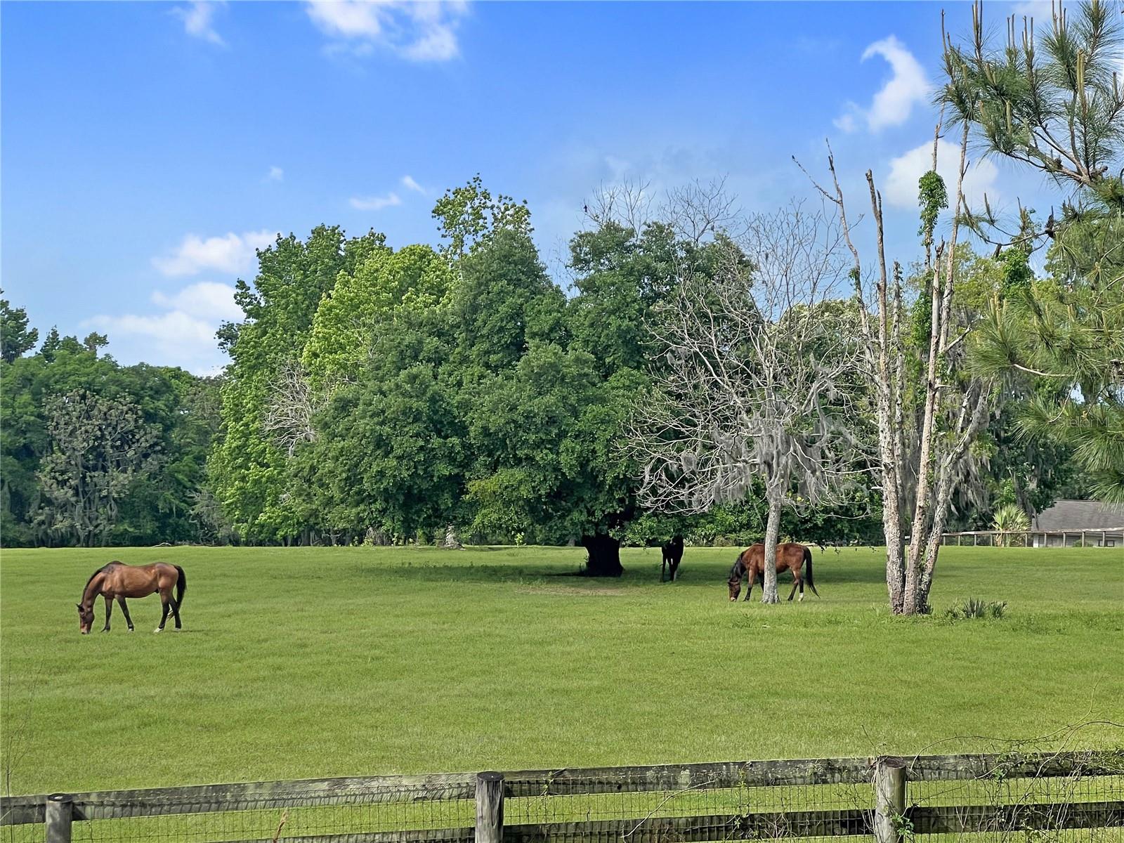 5378 Highway 329, FL
