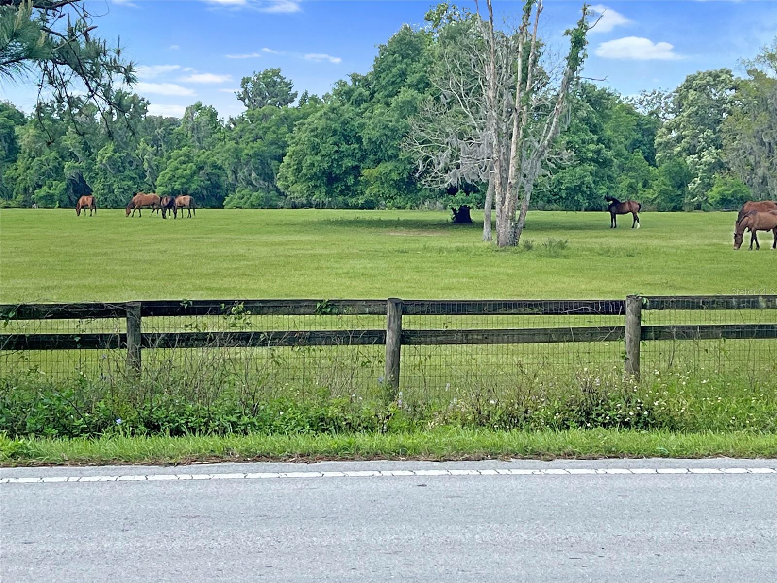 5378 Highway 329, FL