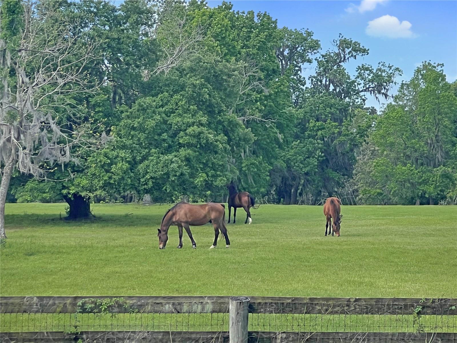 5378 Highway 329, FL