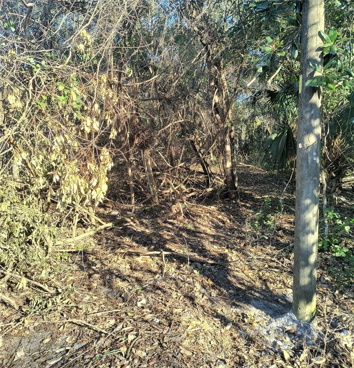 1929 7th Place, FL