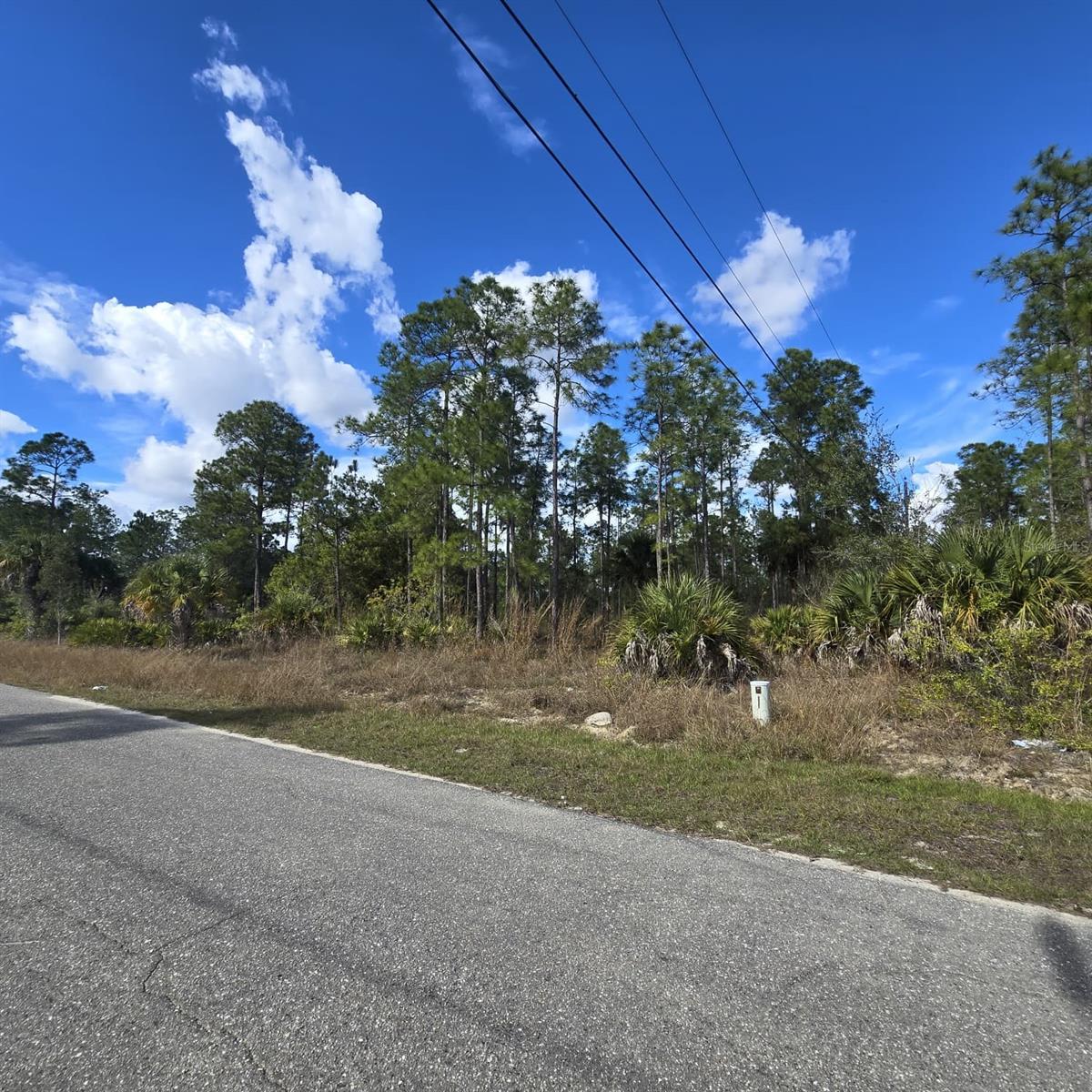 2603 13th Street, FL