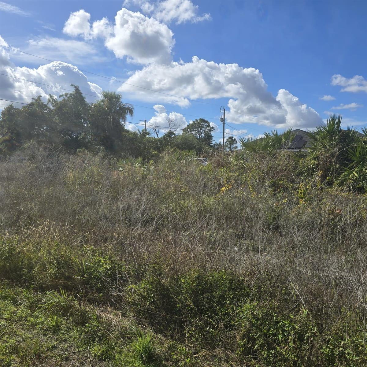 2804 11th Street, FL