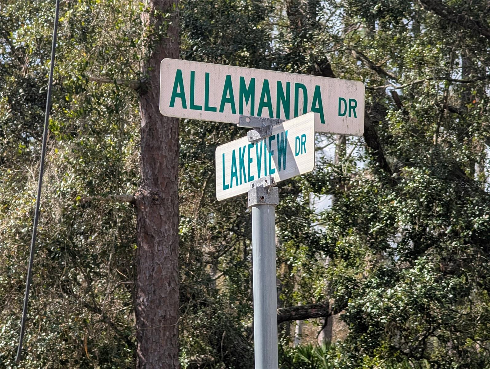Allamanda Drive, FL