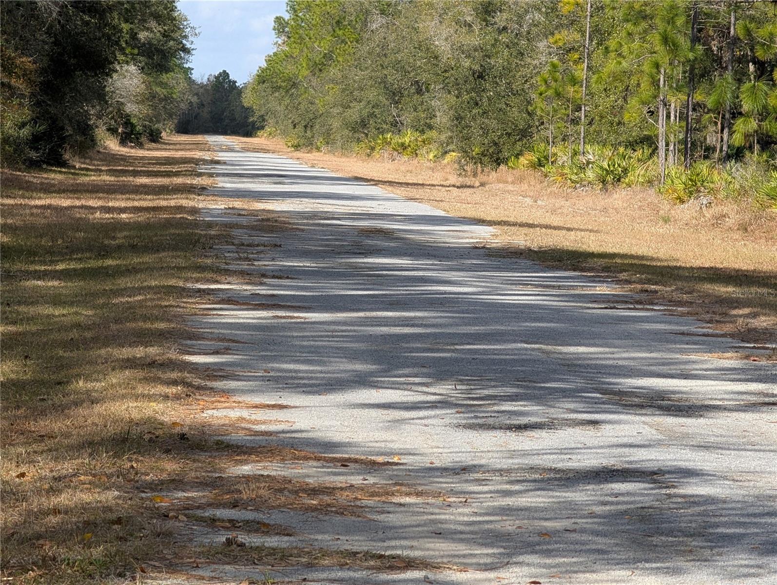Allamanda Drive, FL