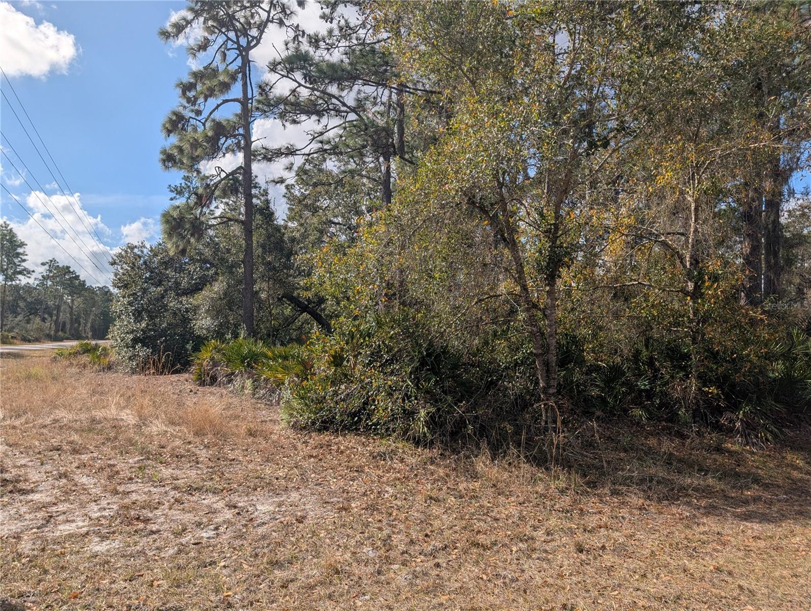 Allamanda Drive, FL