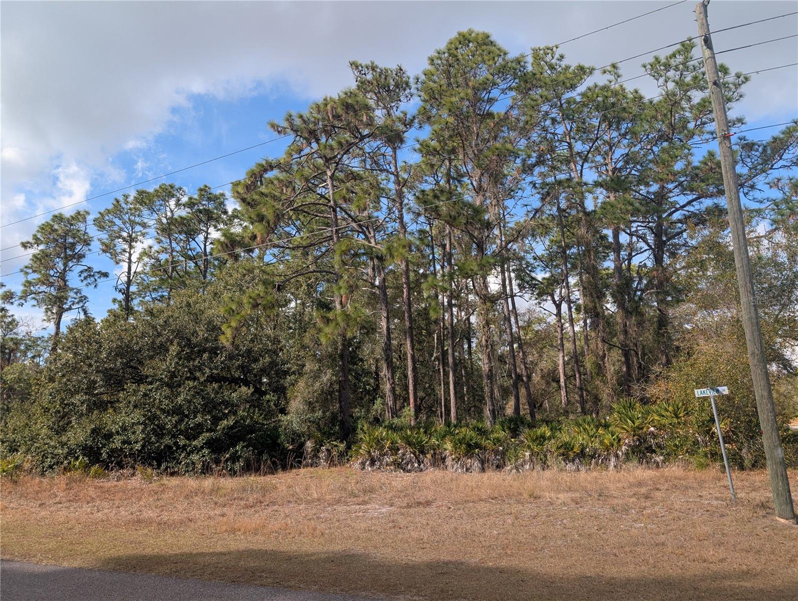 Allamanda Drive, FL