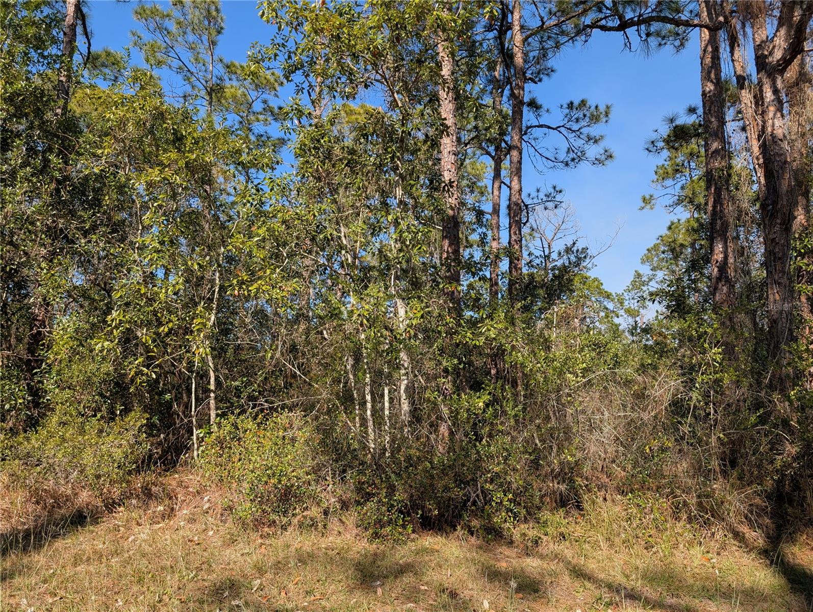 214 & 216 Allamanda Drive, FL