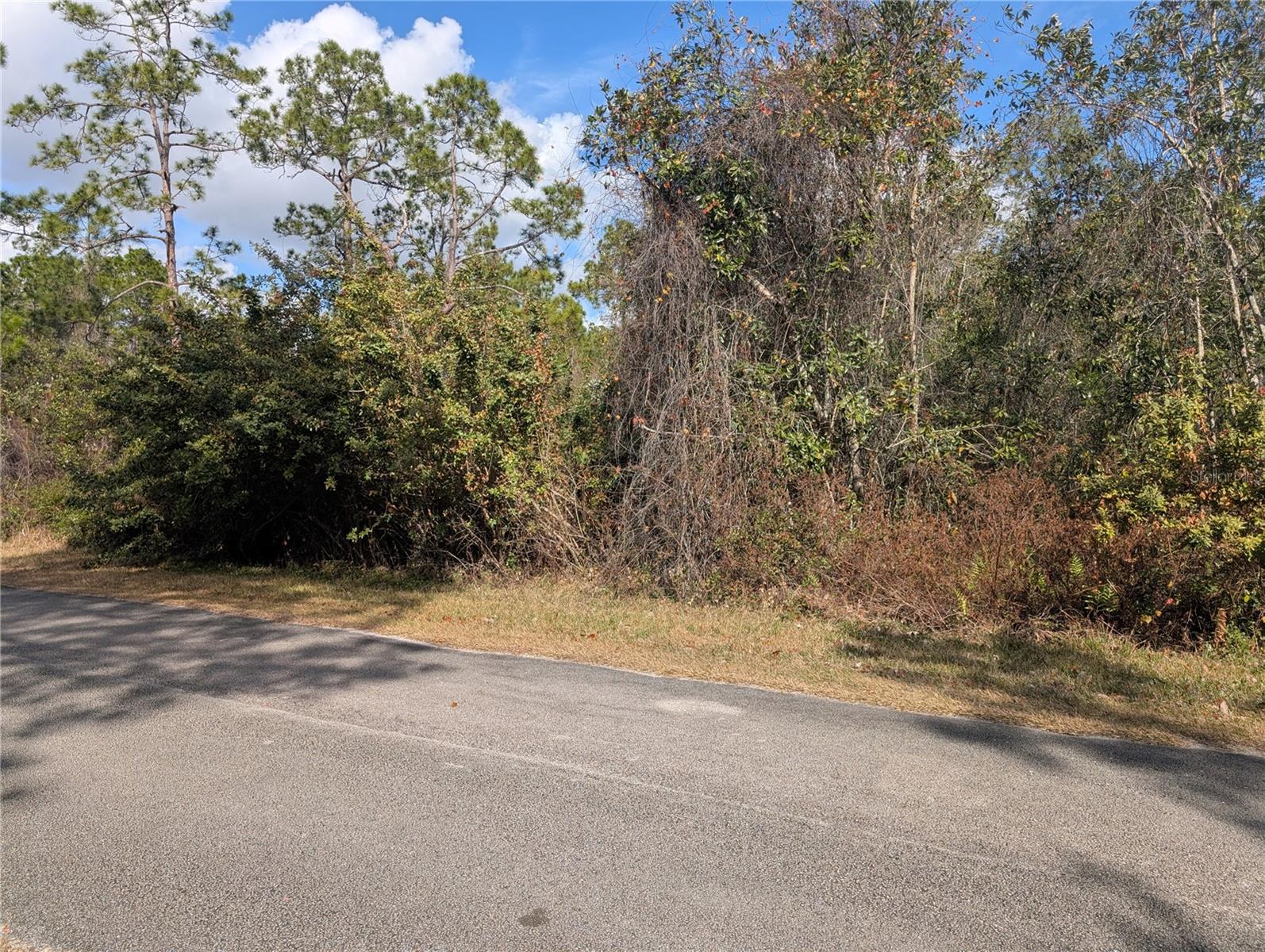 214 & 216 Allamanda Drive, FL
