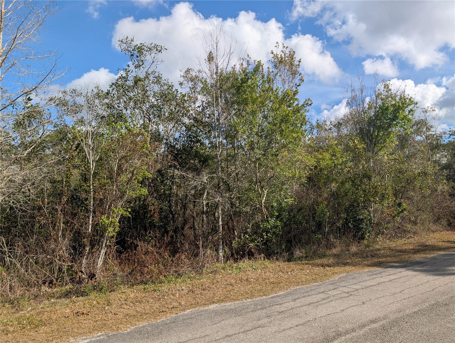 214 & 216 Allamanda Drive, FL