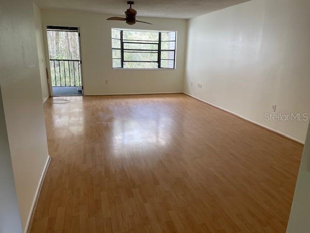 11550 Baywood Meadows Drive, FL