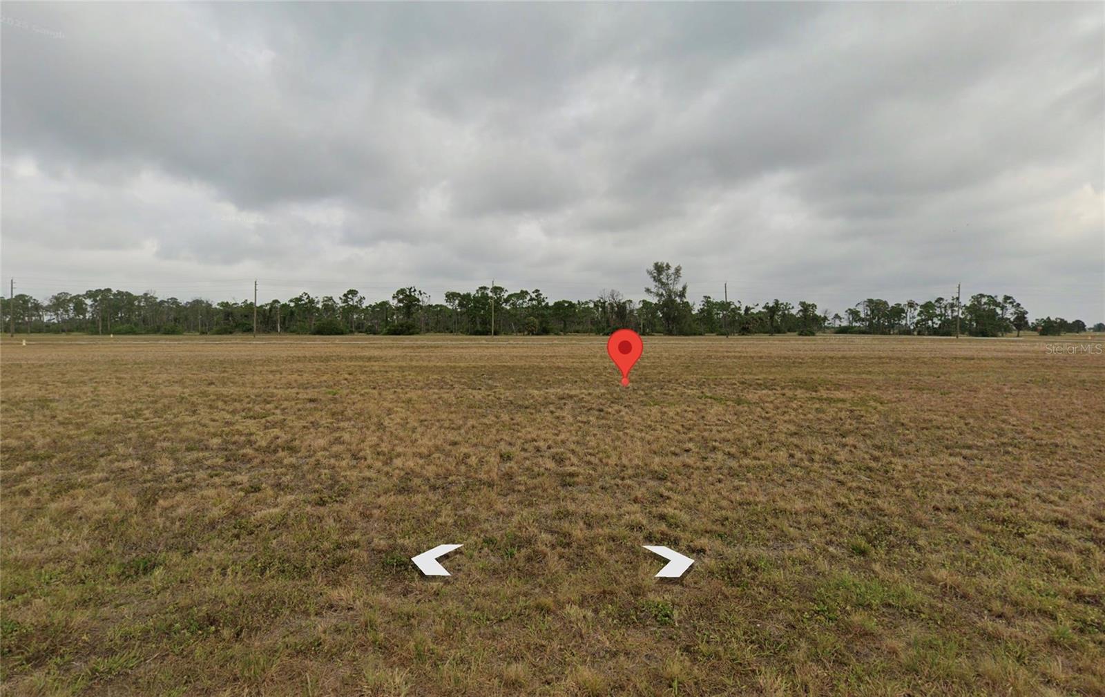 13496 Torpedo-Ray Place, FL