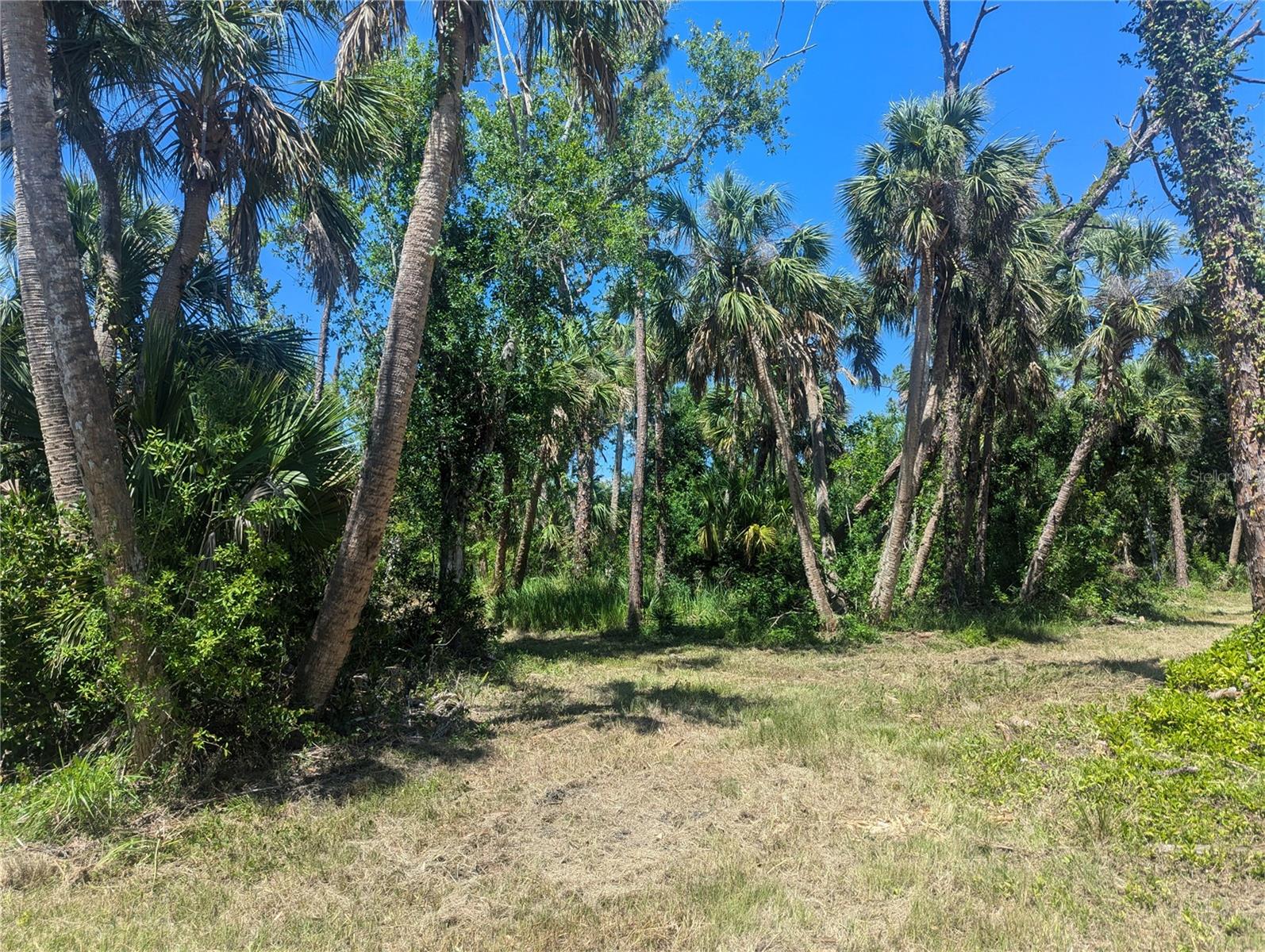 6350 Montauk Terrace, FL