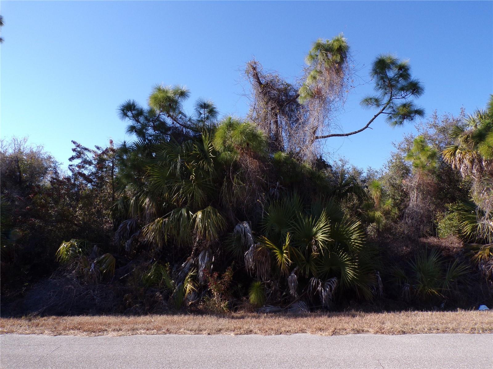 Casco Circle, FL