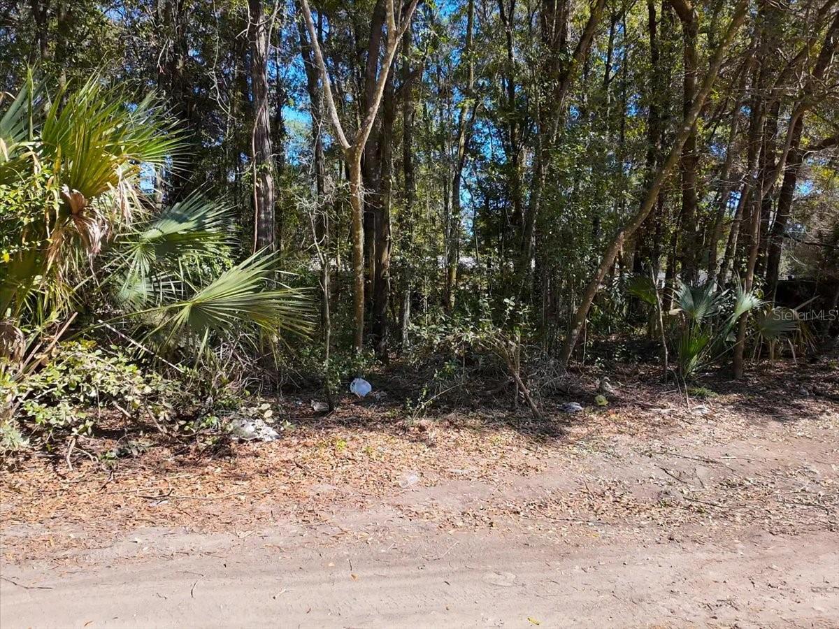 35th Avenue, FL