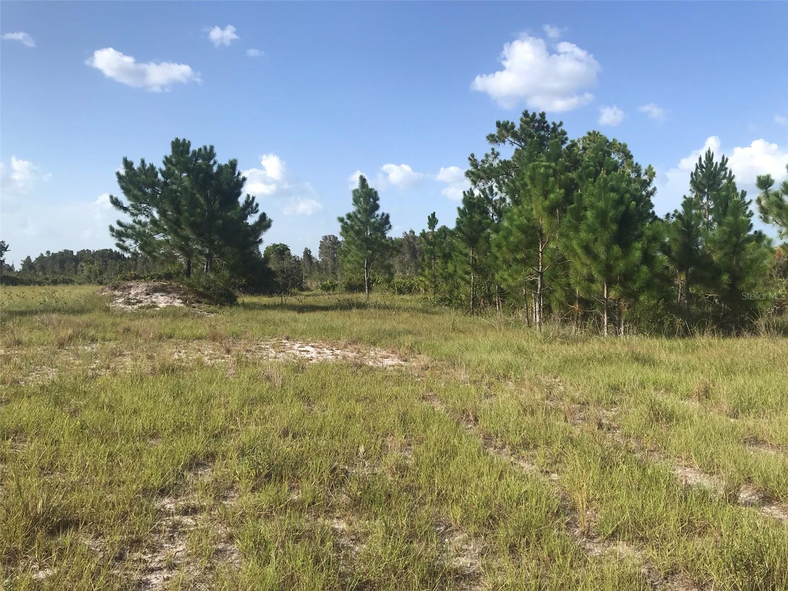 48033 Bermont Road, FL