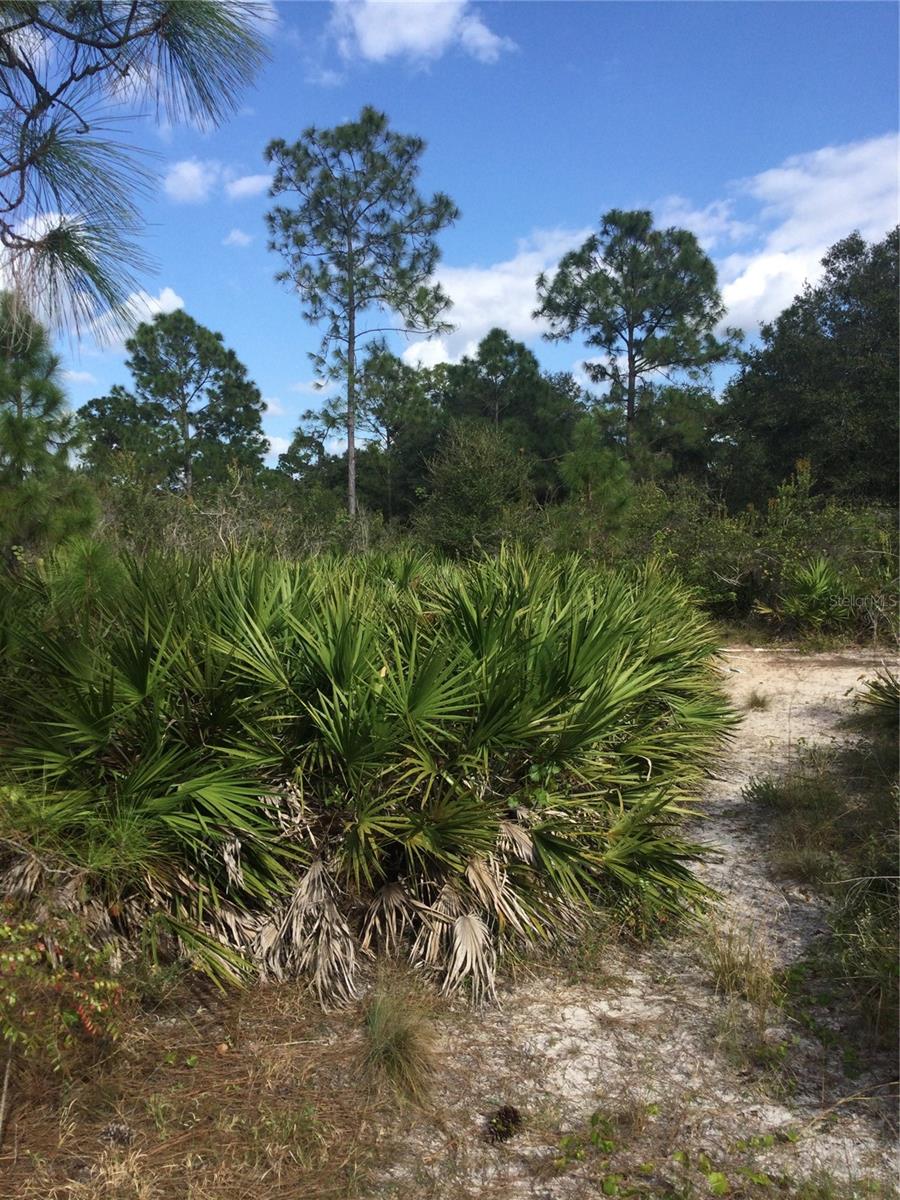 1604 5th Avenue, FL