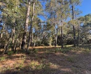 Tbd 135 Avenue, FL