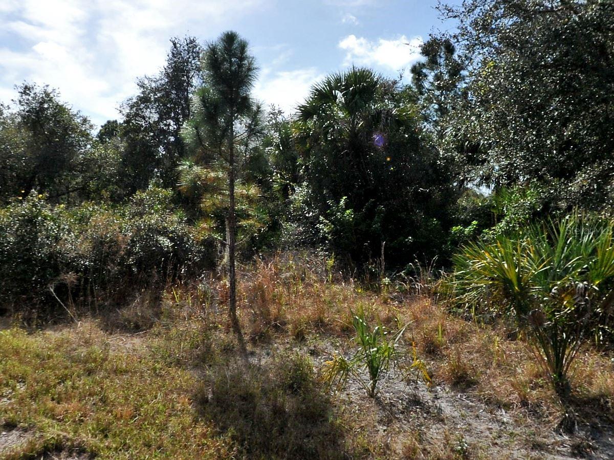 Games Court, FL
