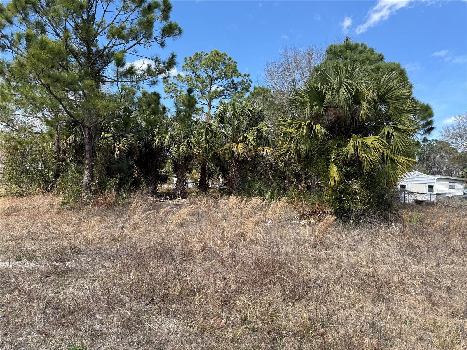 1069 Massey Road, FL