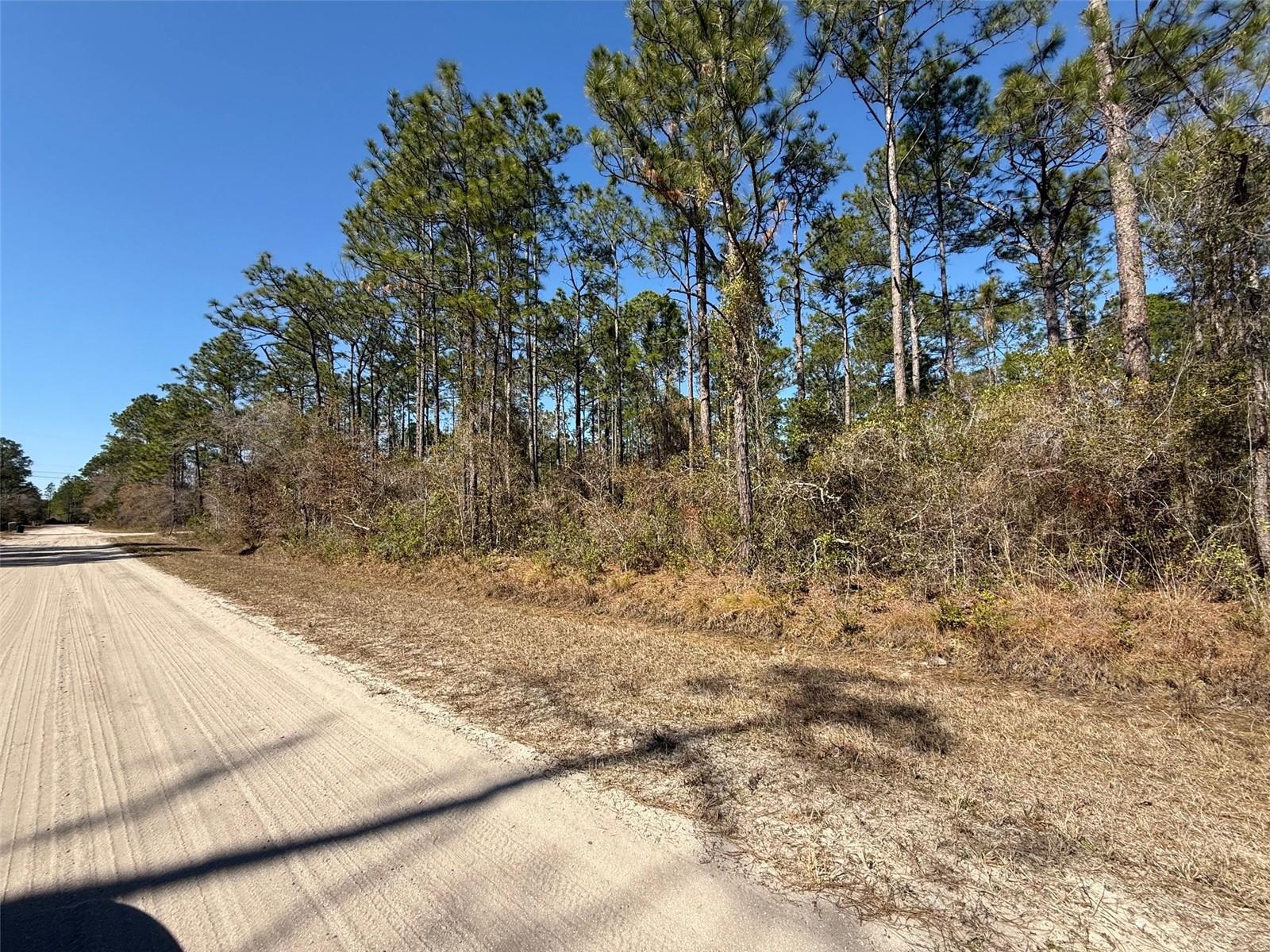 4664 Clove Avenue, FL