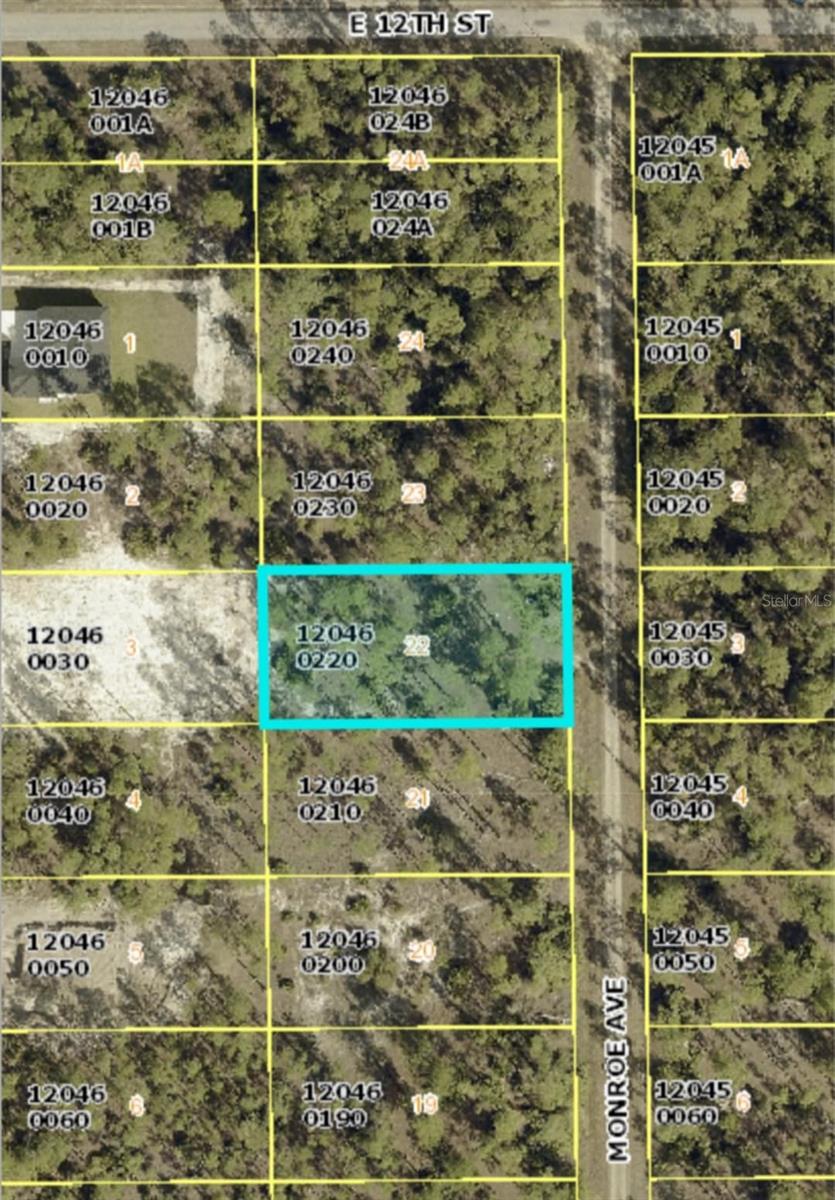 1119 Monroe Avenue, FL