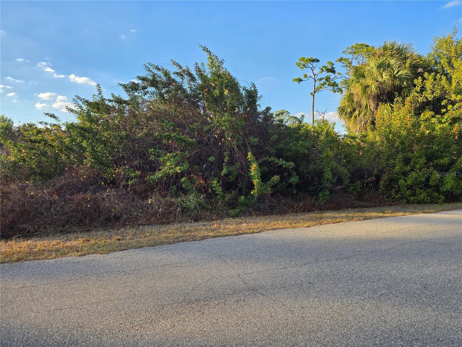 Athena Terrace, FL