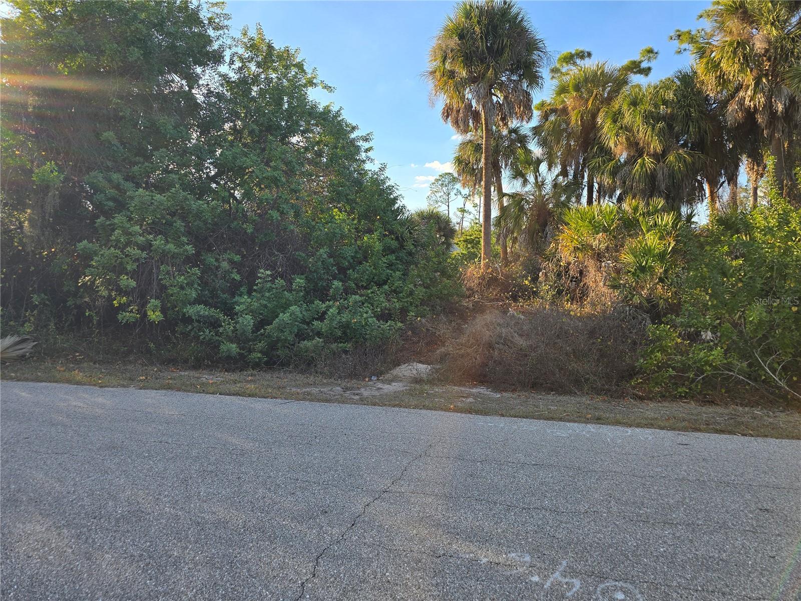 Athena Terrace, FL