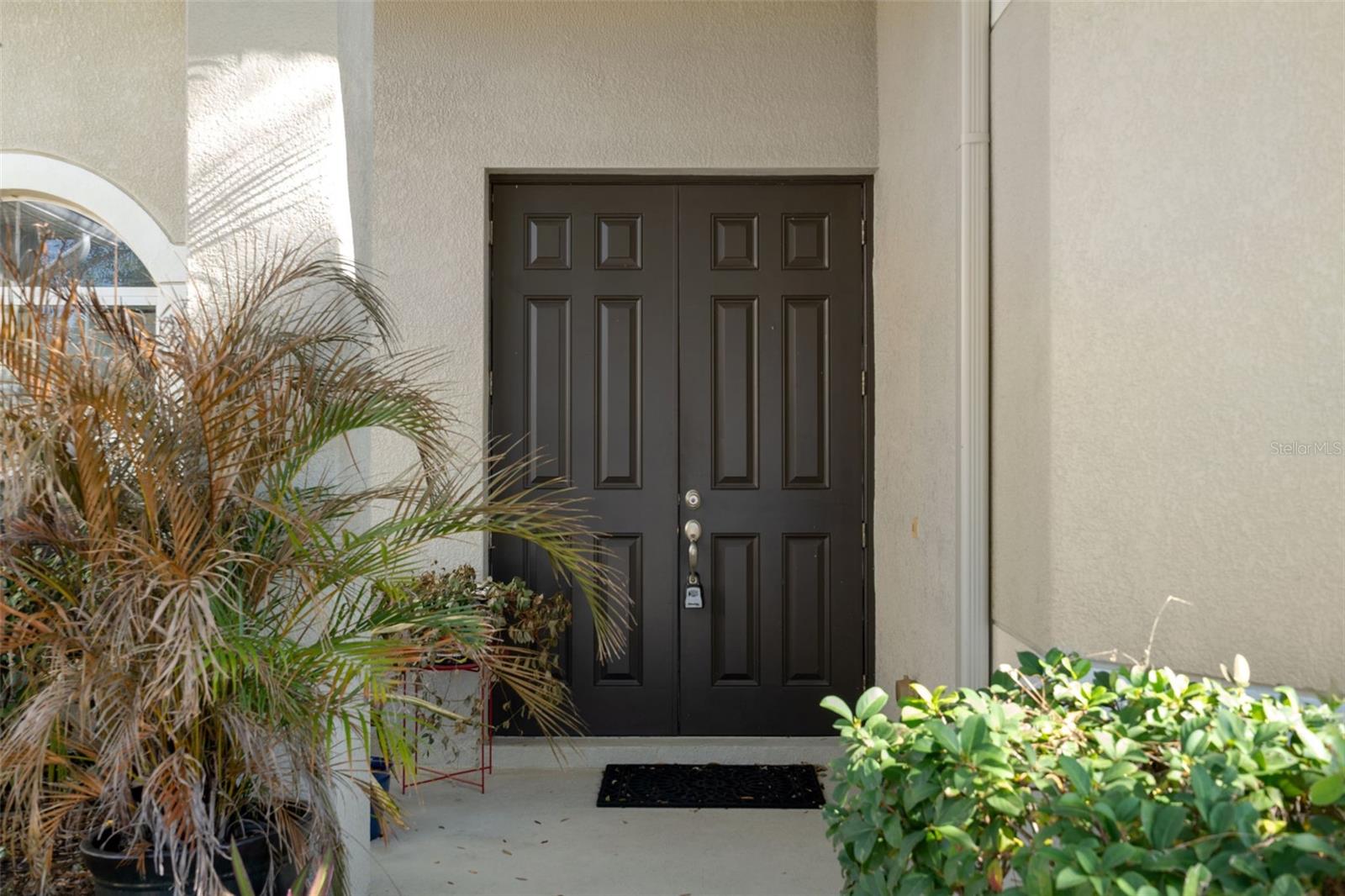 10048 Cleghorn Drive, FL