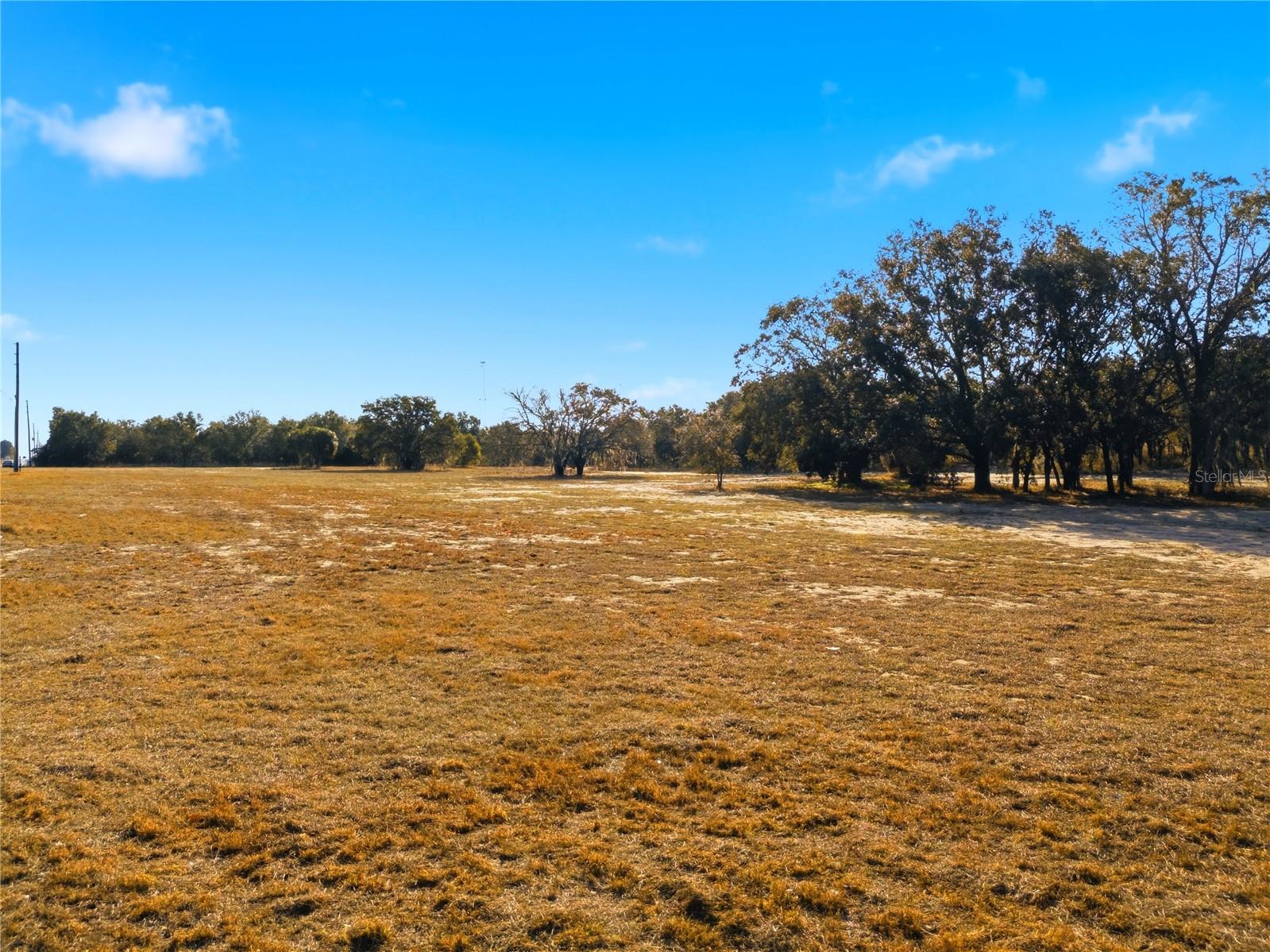Friedlander Road, FL