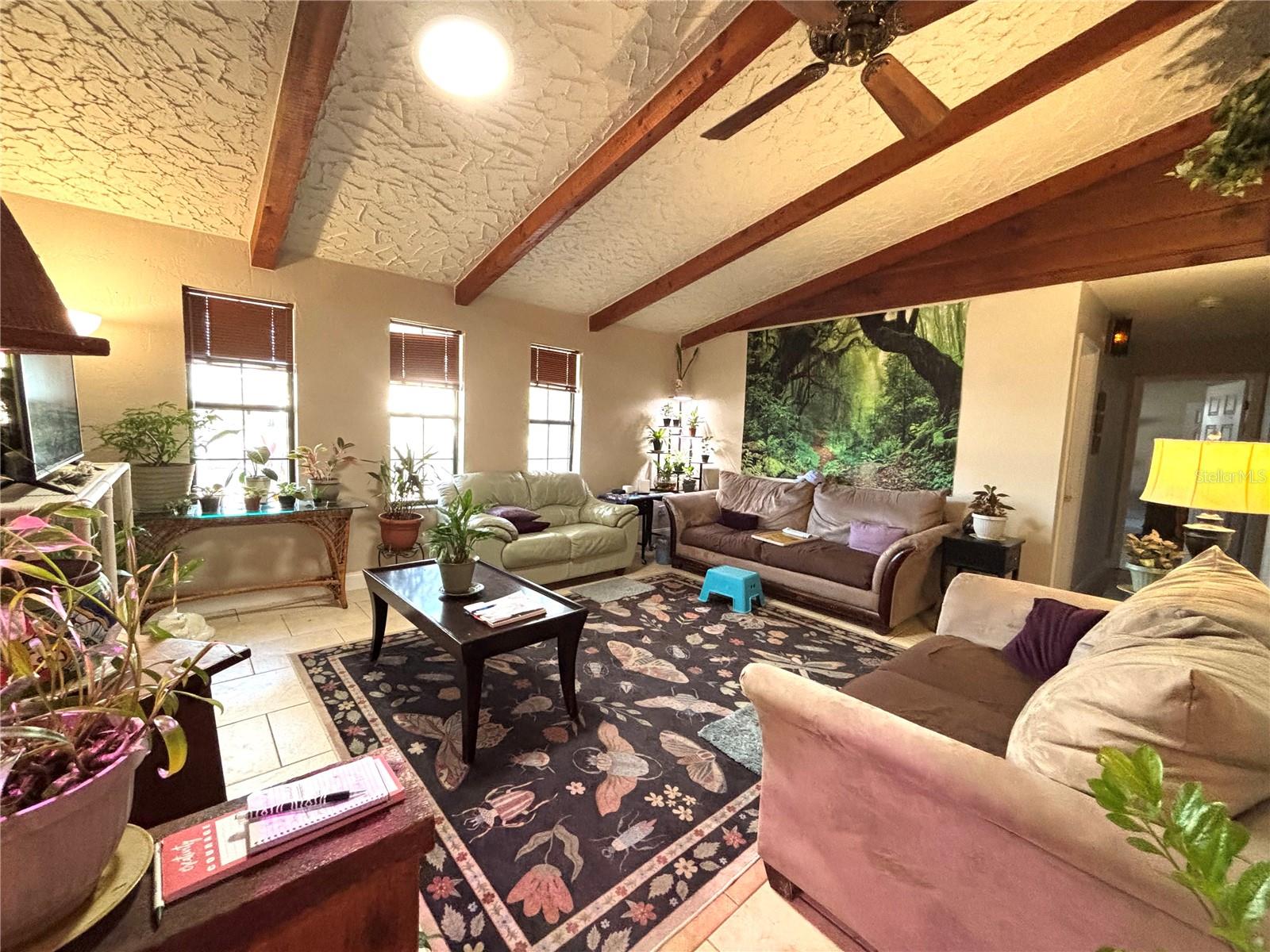 6 Fairgreen Avenue, FL
