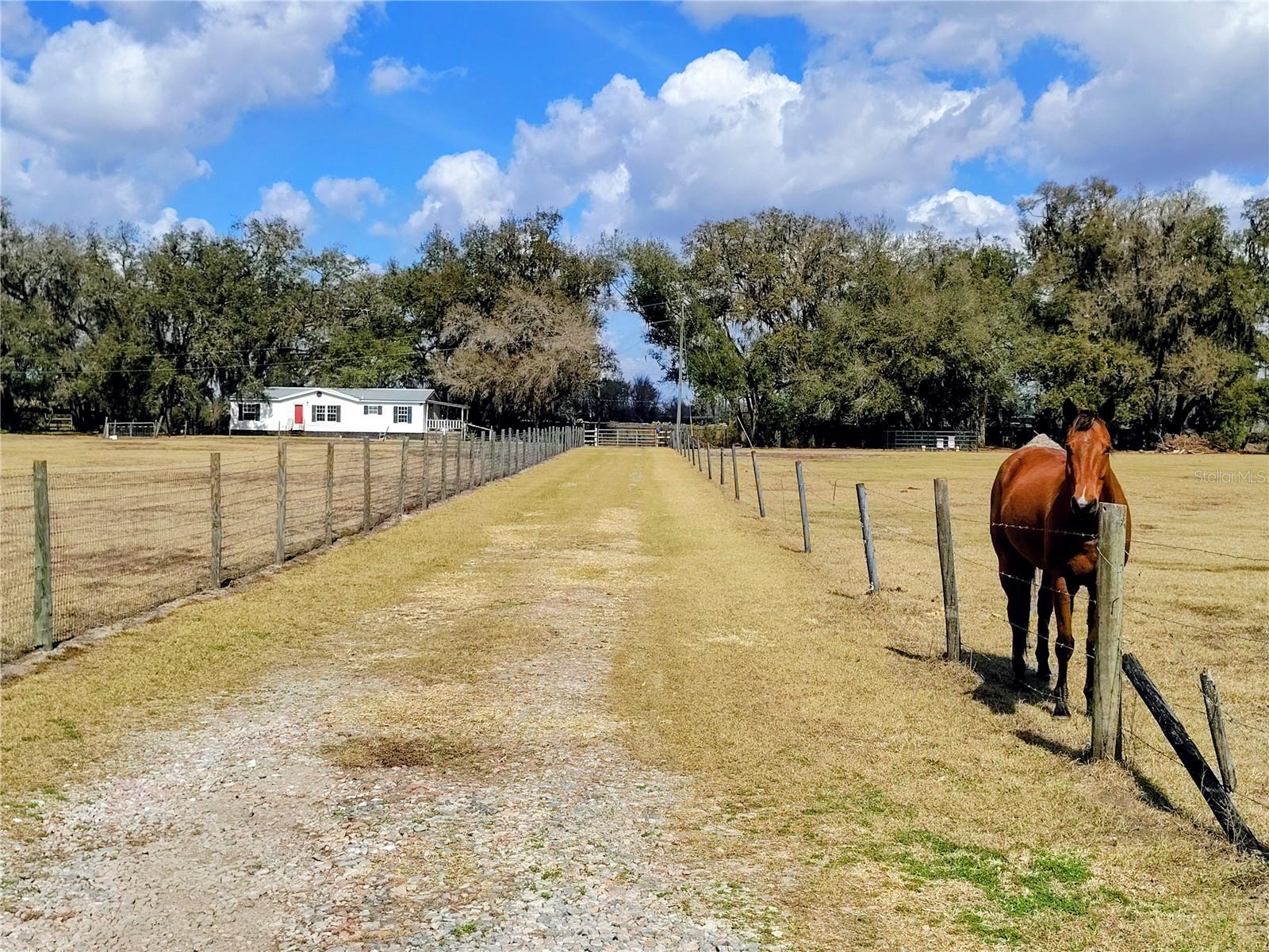 14240 Sr 471, FL