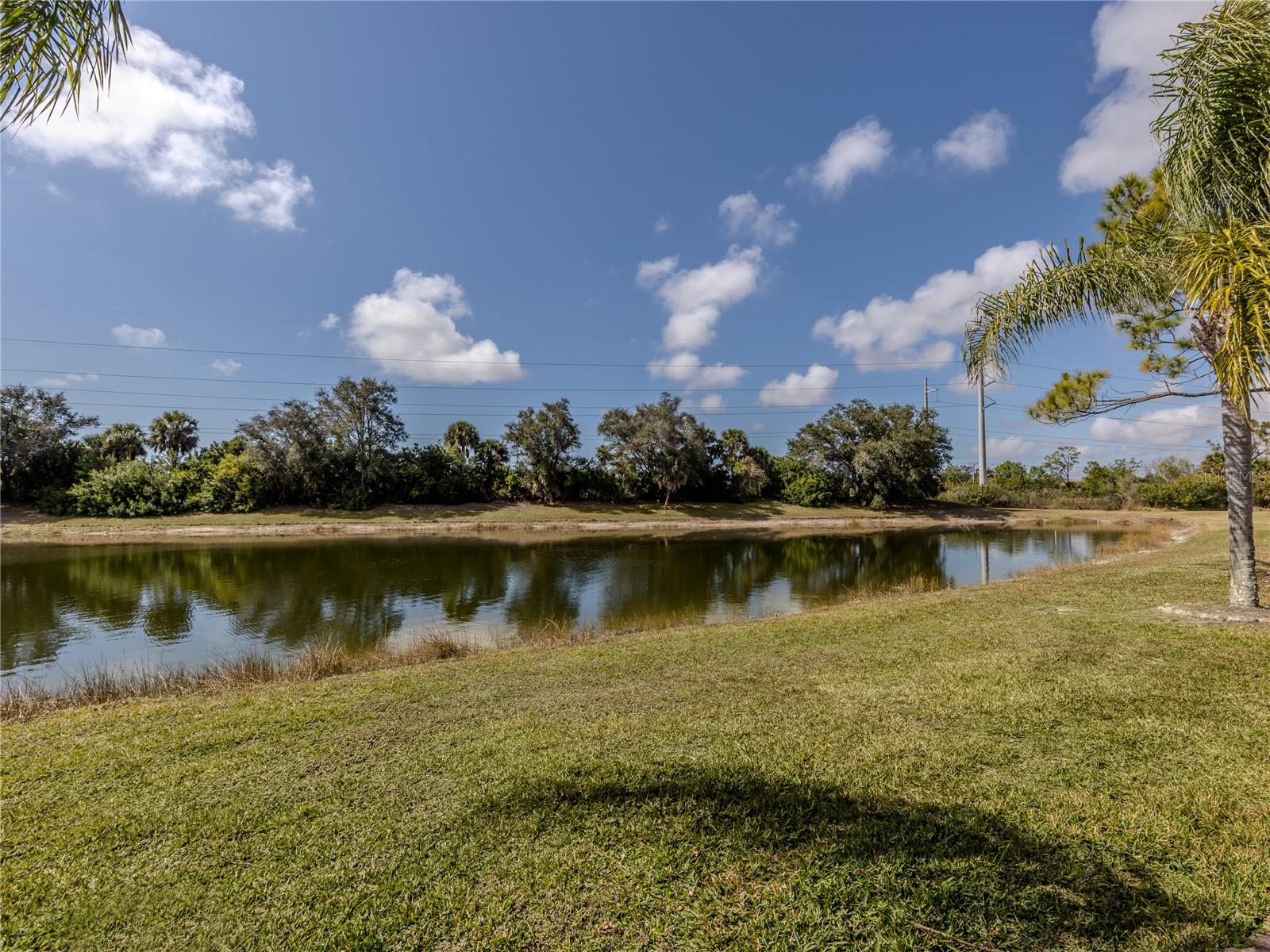 11500 Dancing River Drive, FL
