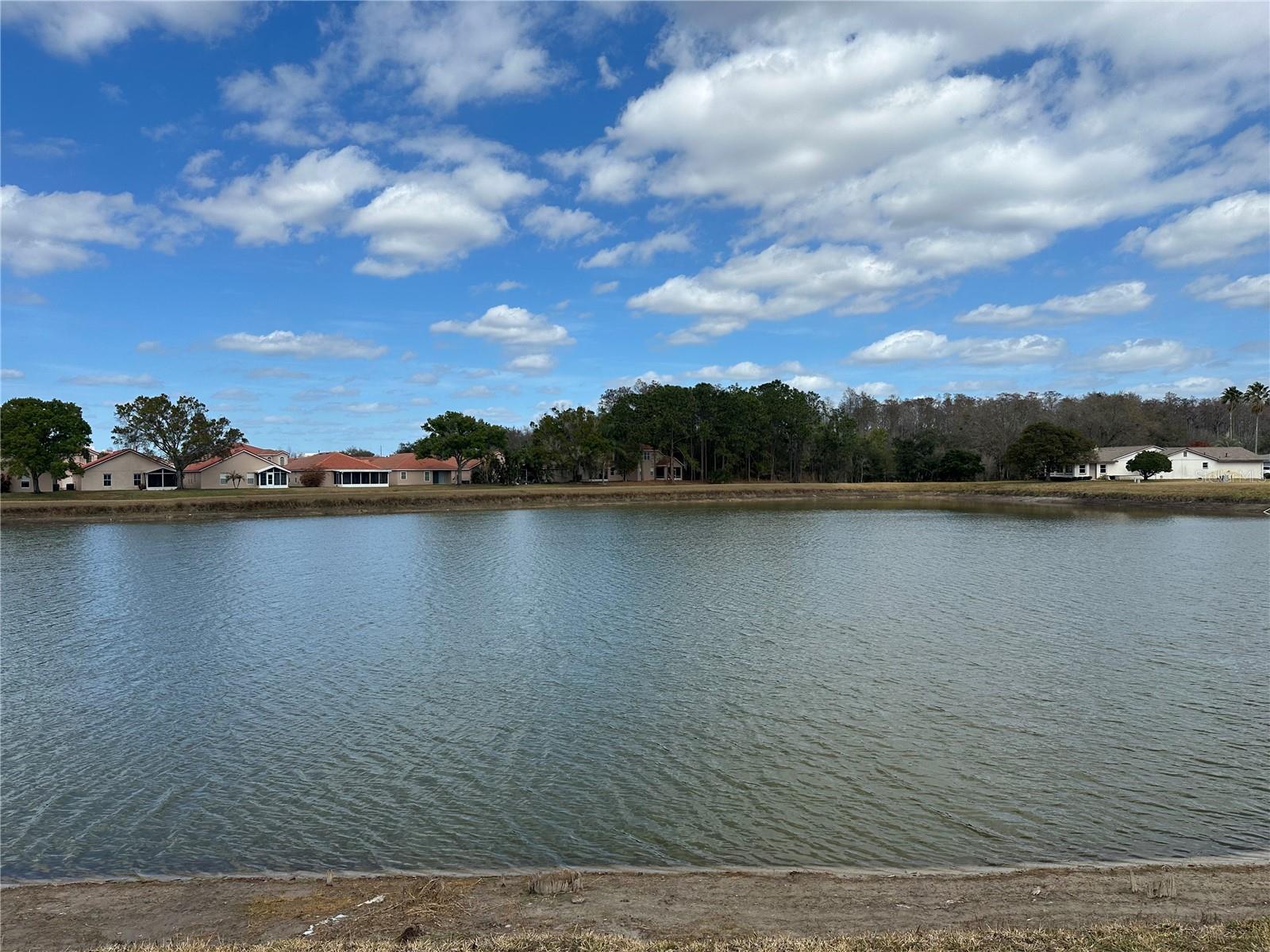 5421 Sandy Hill Drive, FL