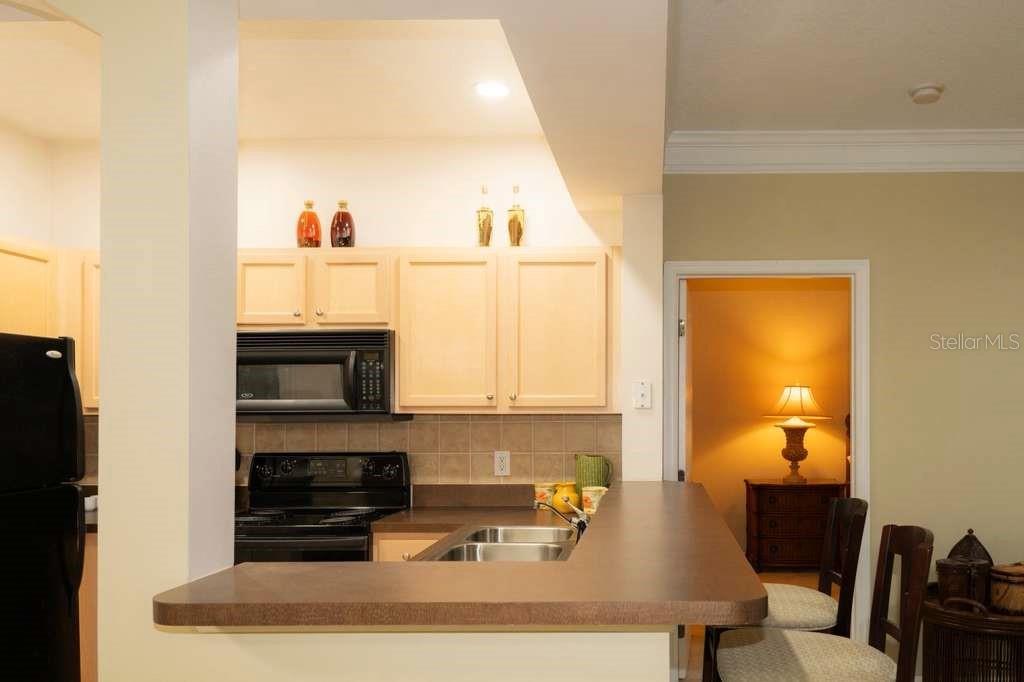12843 Madison Pointe Circle, FL
