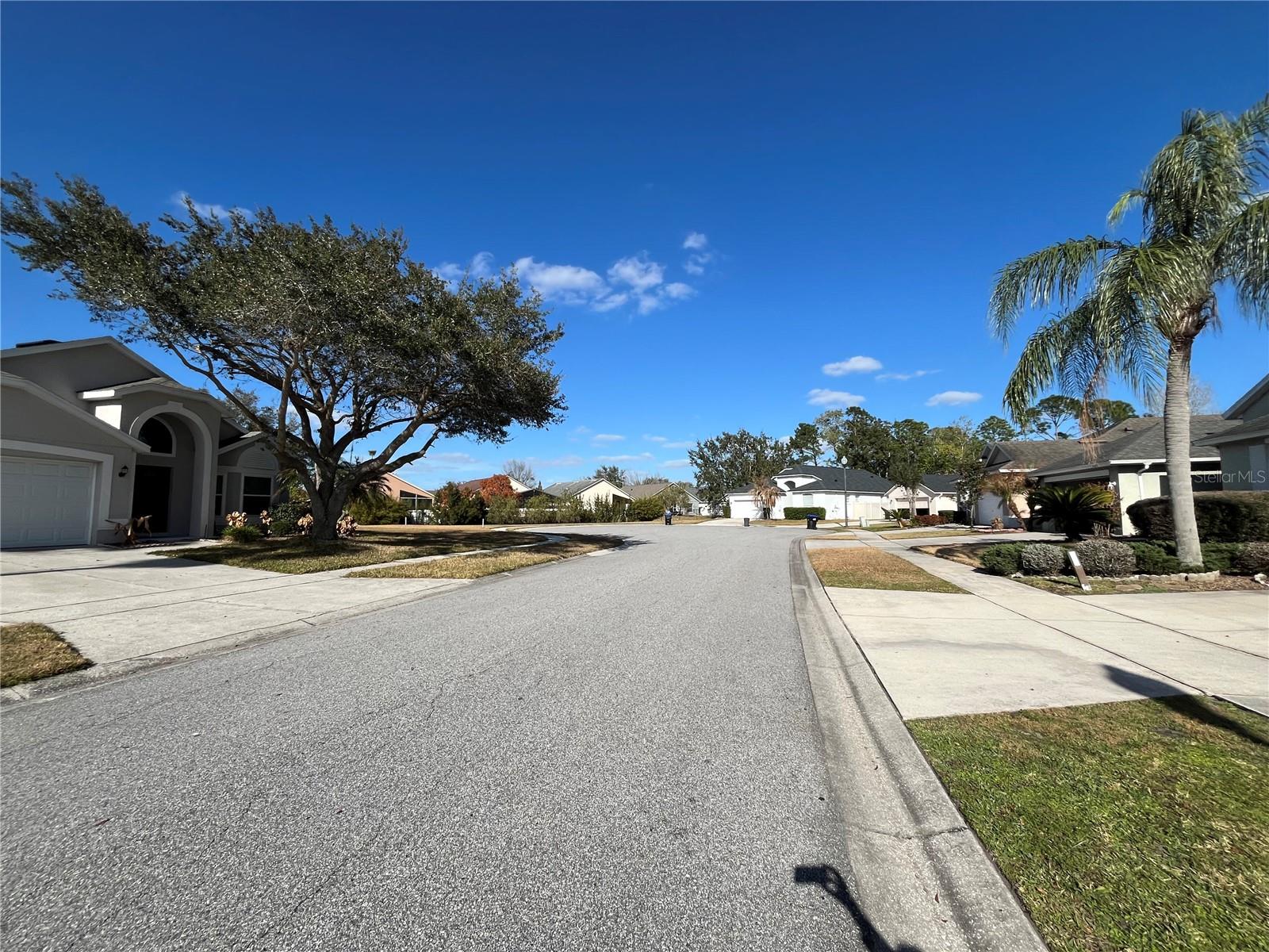 13025 Yardsley Court, FL