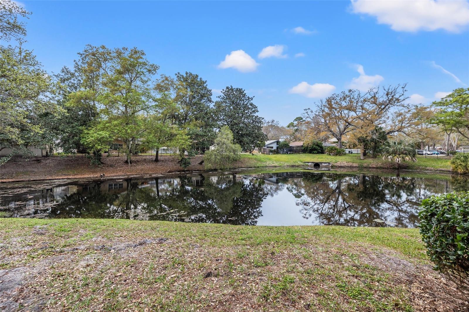 3038 Eastland Boulevard, FL