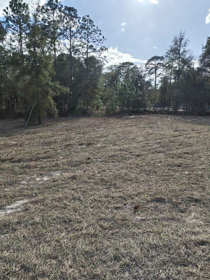 13105 91st Place, FL