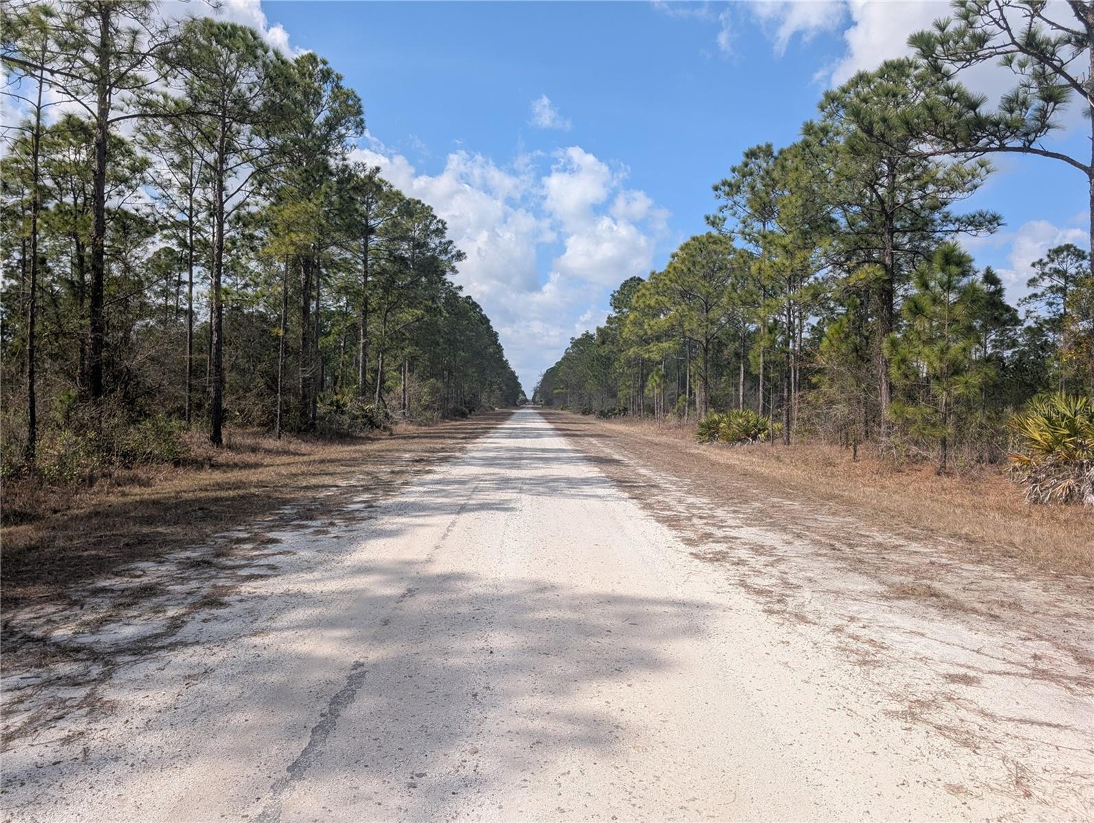 614 Alba Drive, FL